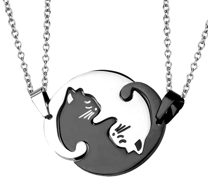 Nerūdijančio plieno magnetiniai pakabukai X24-2 N35