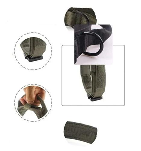 Apykaklė šunims G11 žalia