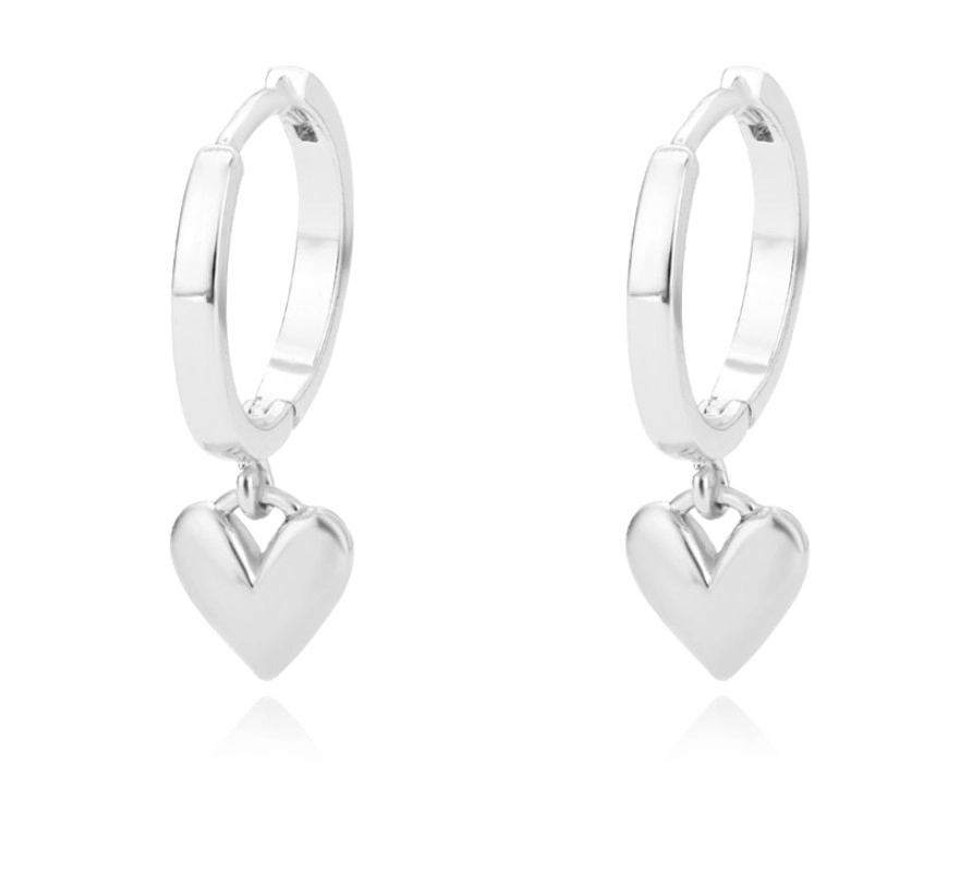 Auskarai moterims A55, sidabro spalvos