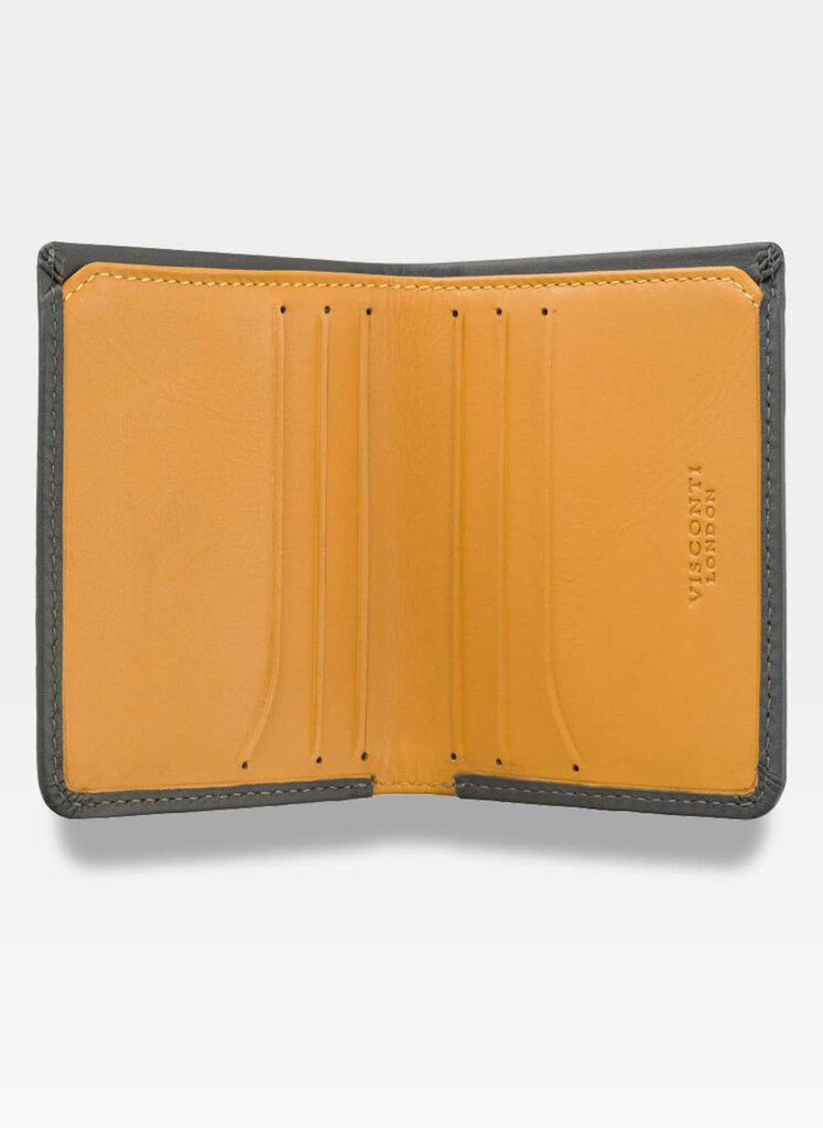 Kortelių dėklas Visconti VSL-41 S1069