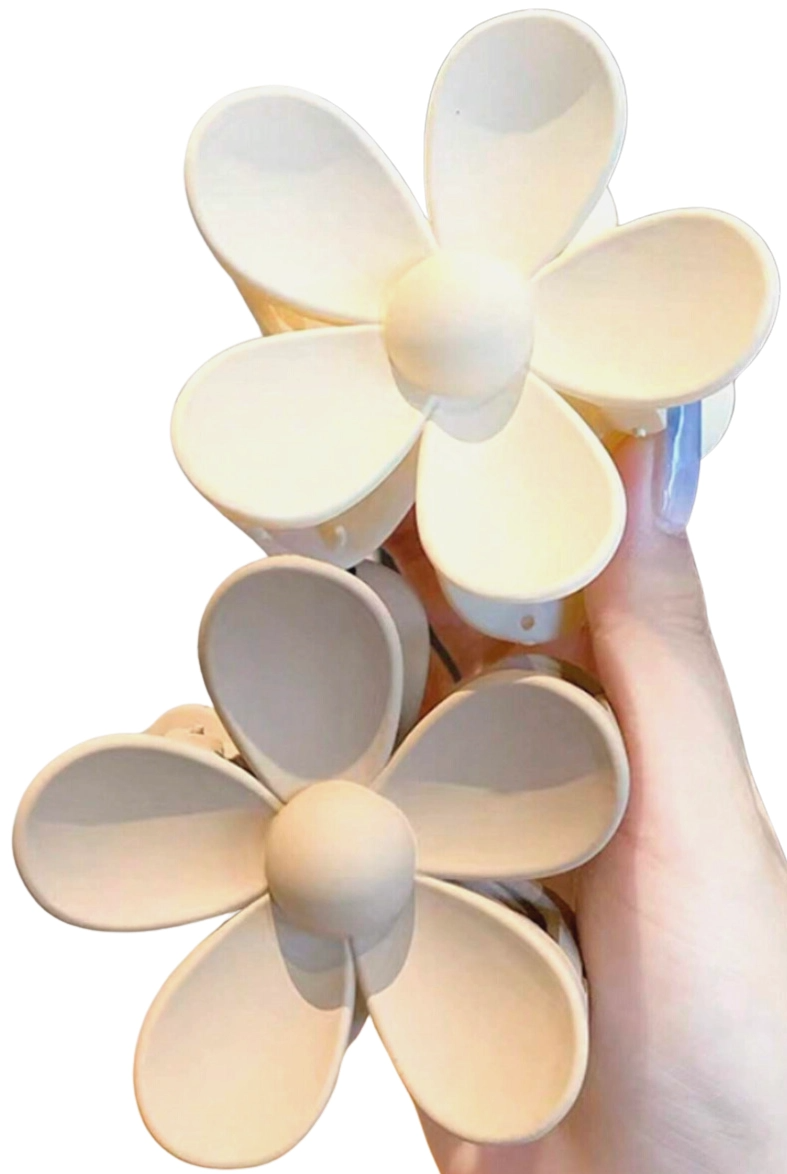 Plaukų segtukai 2vnt. T7 P201