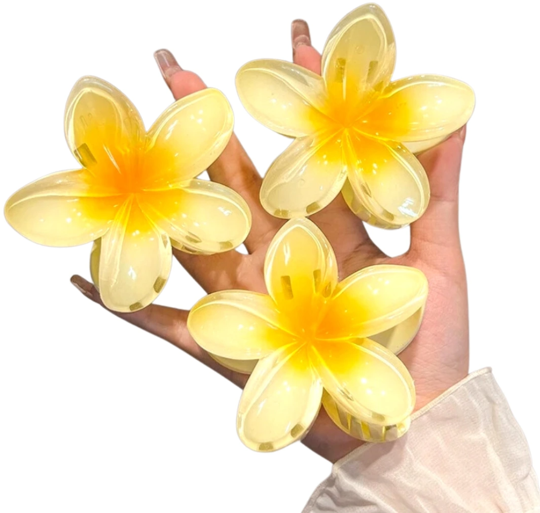 Plaukų segtukai 3vnt. T11 P200