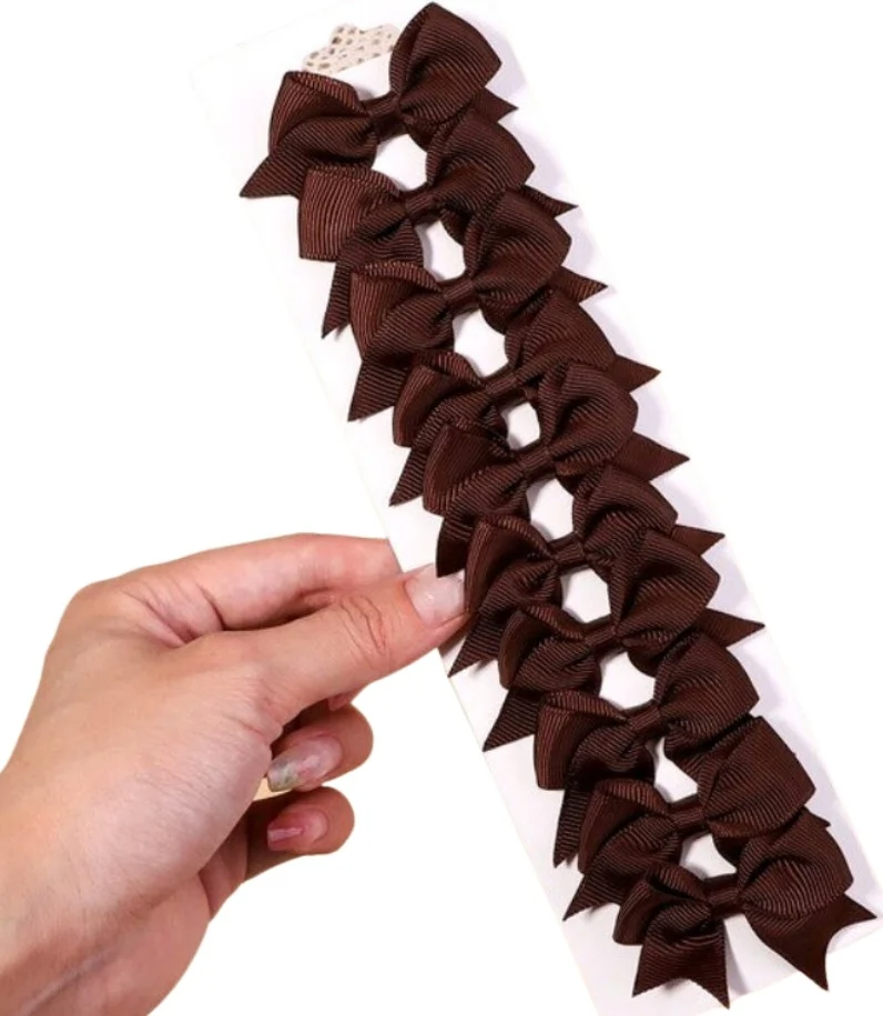 Plaukų segtukų rinkinys 10vnt. N34 rudi P83