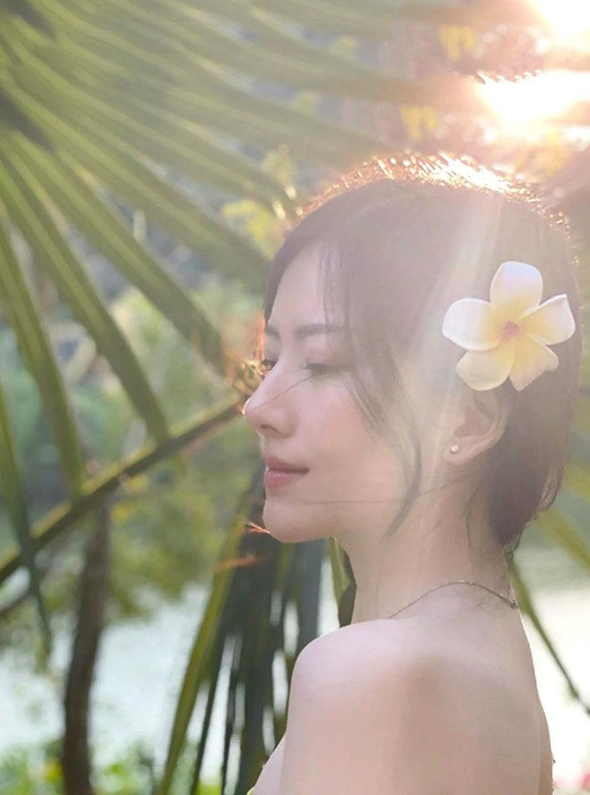 plaukų segtukų rinkinys, 2vnt P2