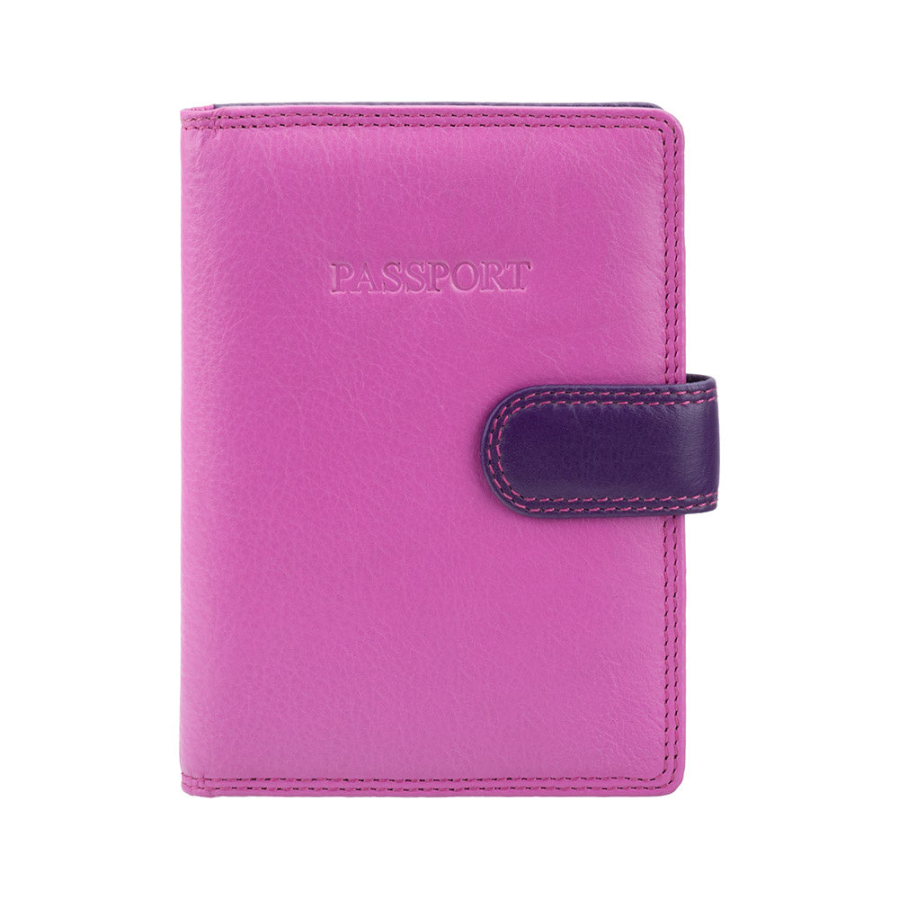 Paso dėklas su kortelių vieta Visconti, spalvotas