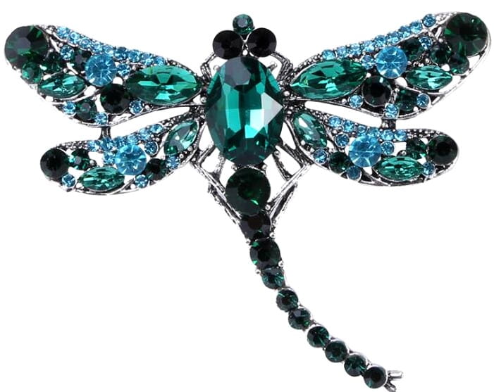 Retro stiliaus laumžirgio sagė