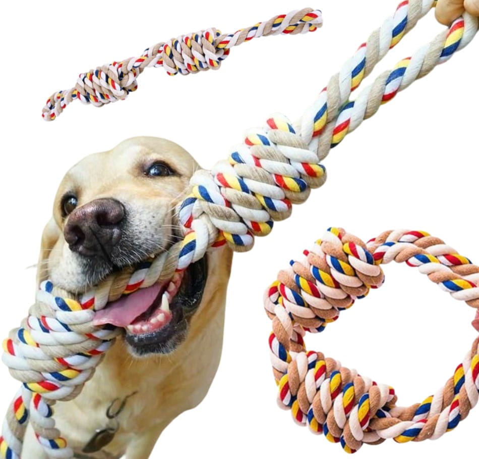 VIRVINIS ŽAISLAS ŠUNIMS H1