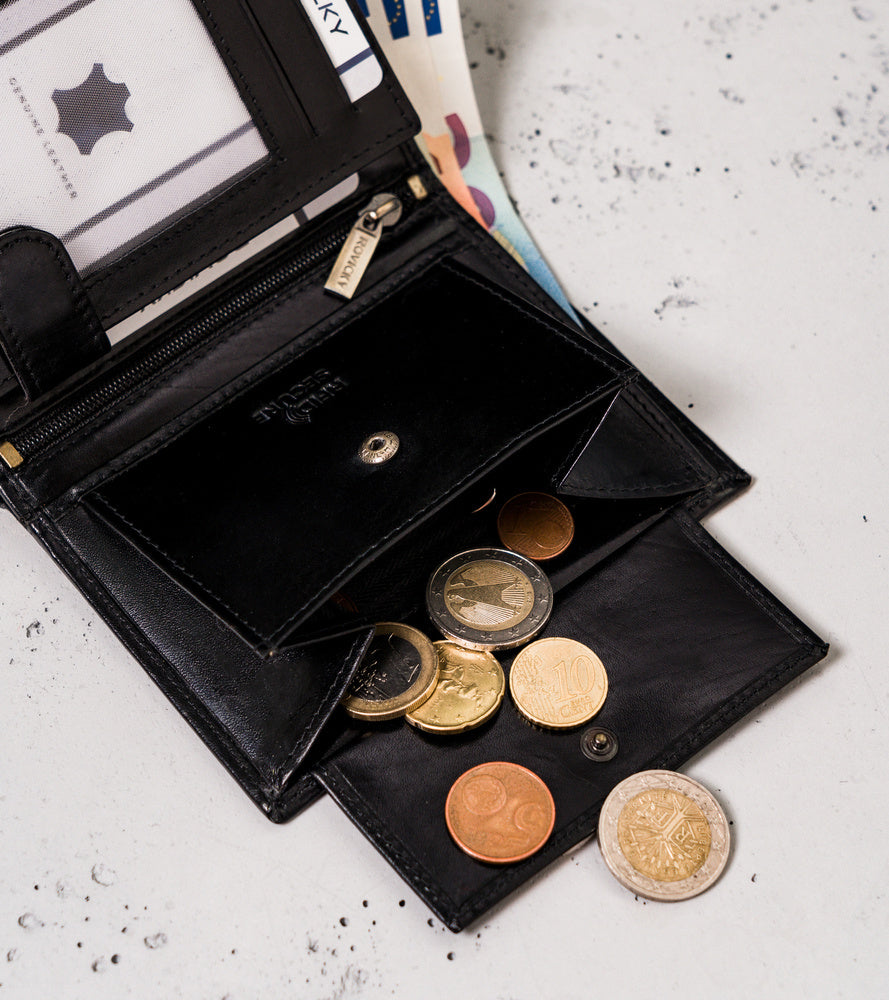 Vyriška odinė piniginė Rovicky RV111 S412