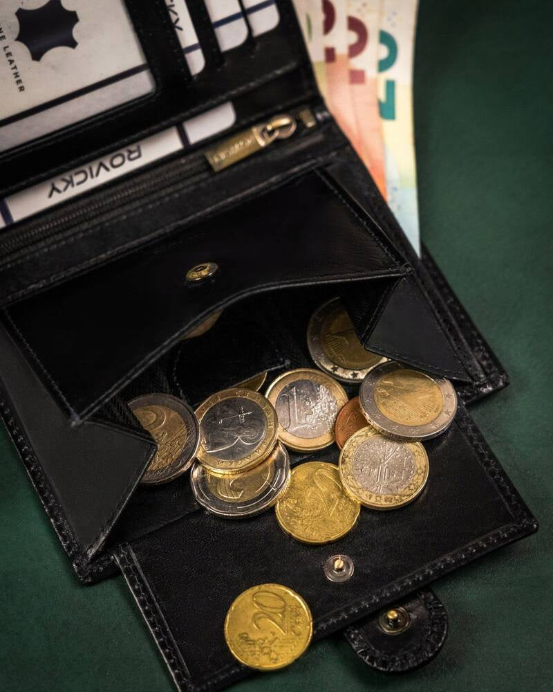 Vyriška odinė piniginė Rovicky RV134 S387