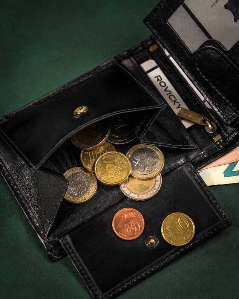 Vyriška odinė piniginė Rovicky RV143 S377