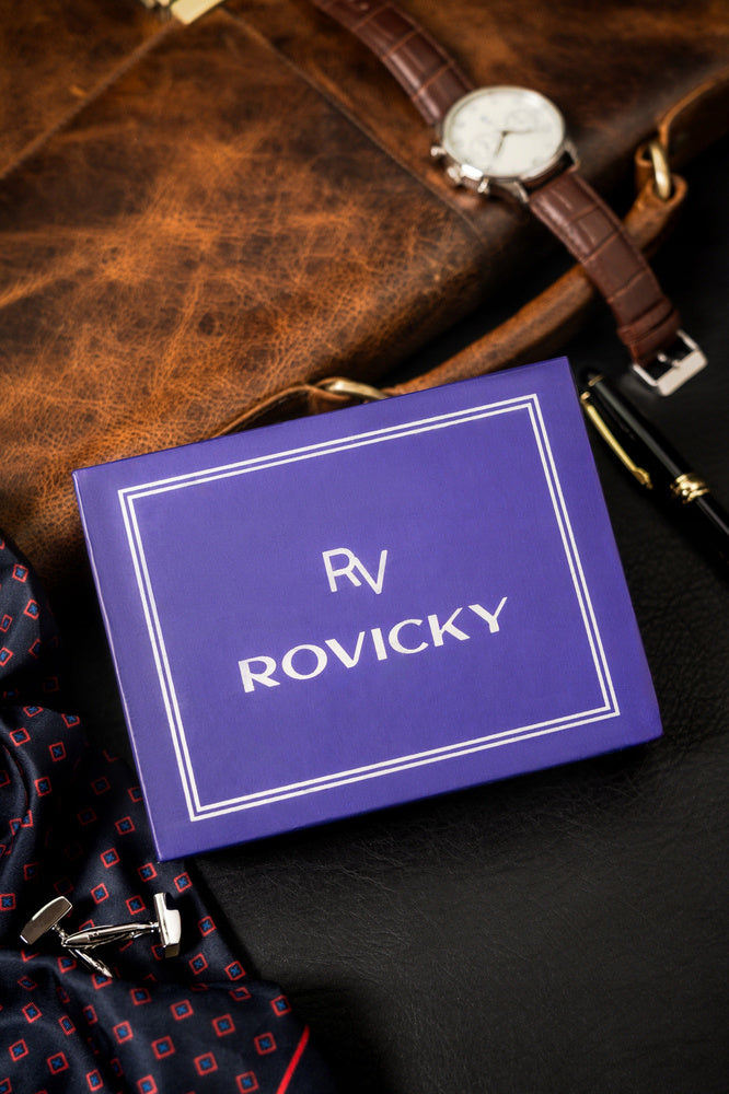 Vyriška odinė piniginė Rovicky RV209 S309