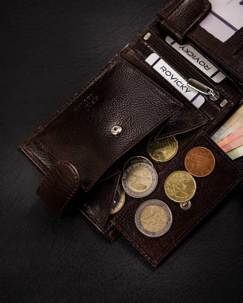 Vyriška odinė piniginė Rovicky RV233 S283