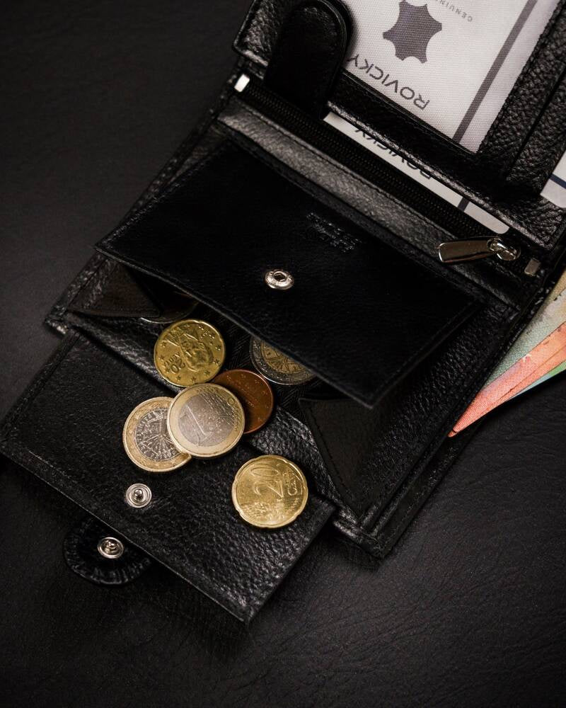 Vyriška odinė piniginė Rovicky RV236 S280