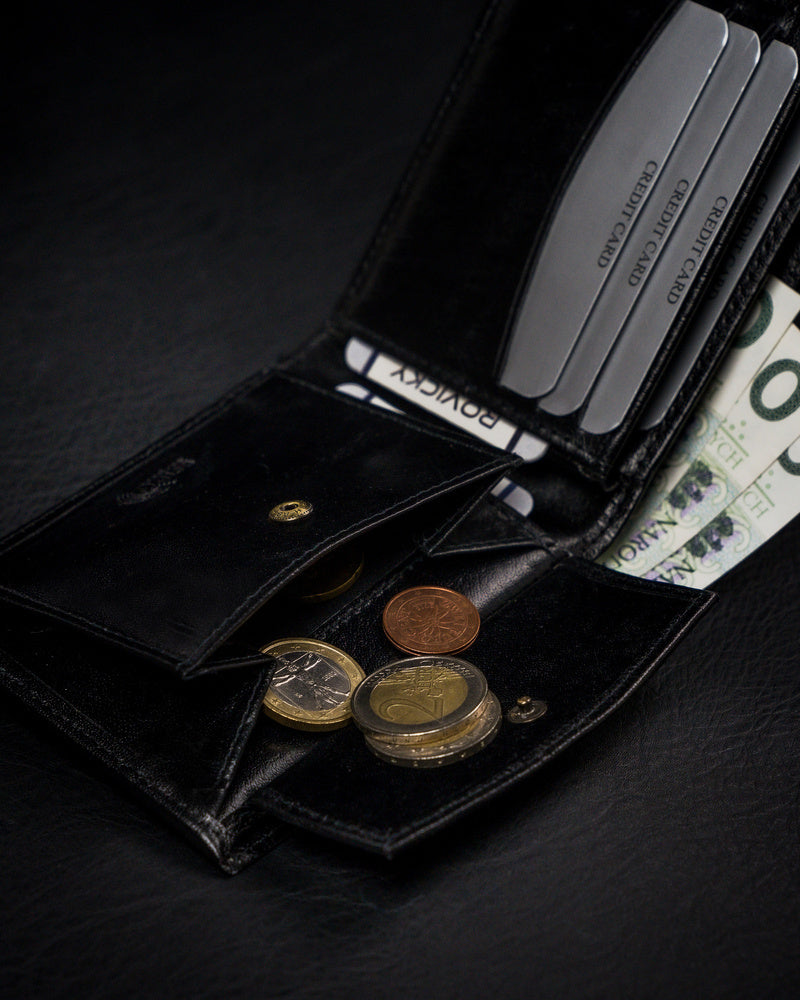 Vyriška odinė piniginė Rovicky RV40 S260