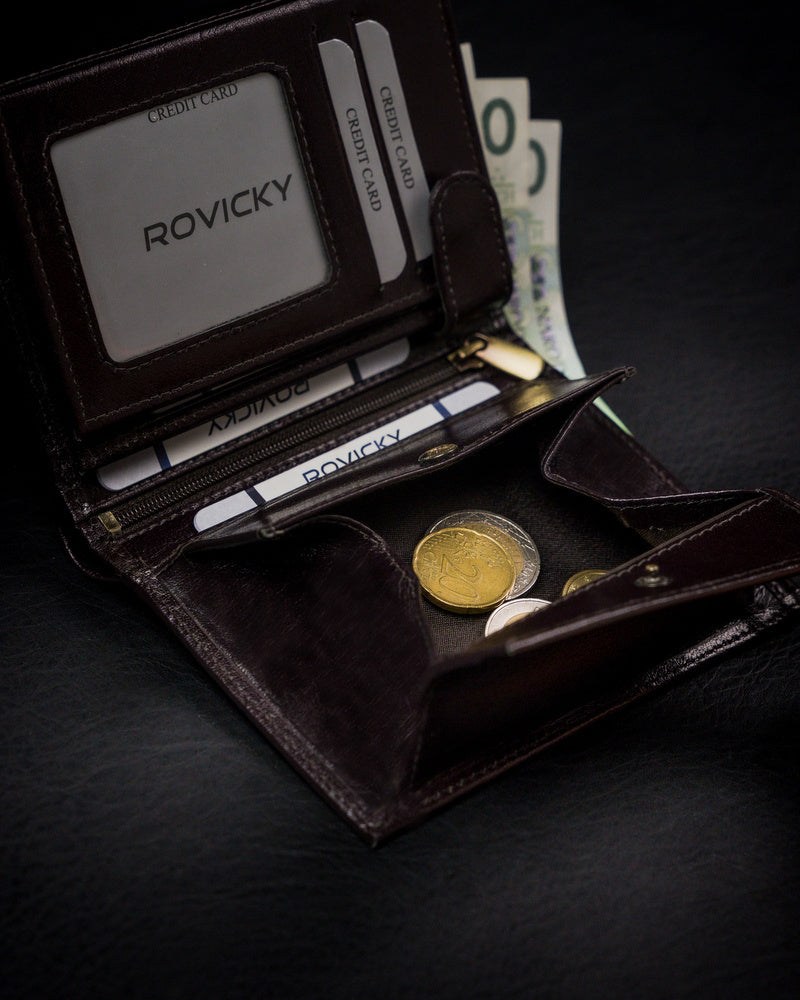 Vyriška odinė piniginė Rovicky RV44 S257