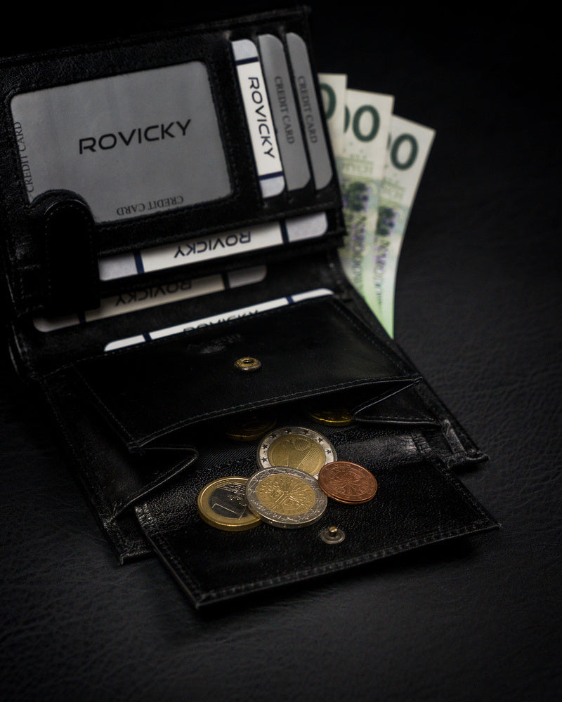Vyriška odinė piniginė Rovicky RV48 S253