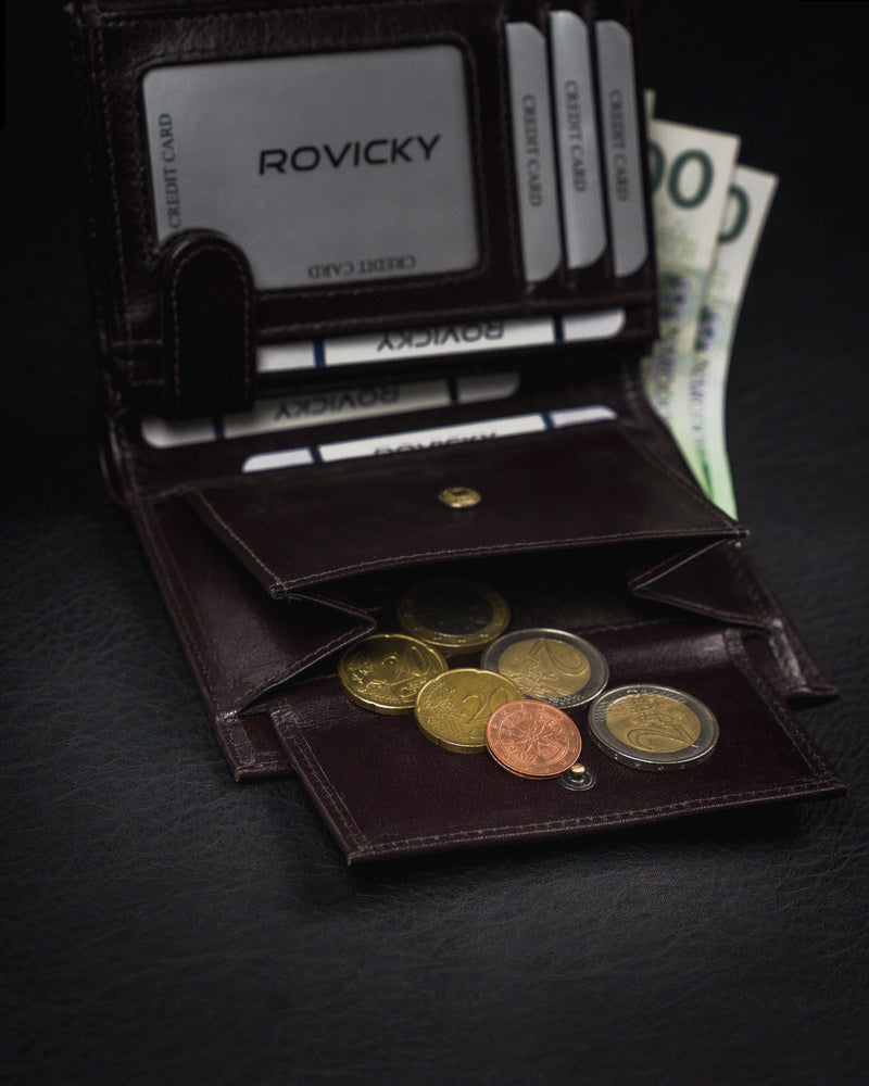 Vyriška odinė piniginė Rovicky RV50 S250