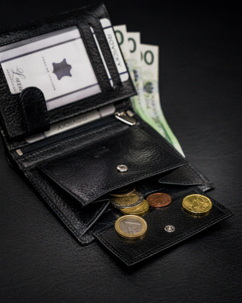 Vyriška odinė piniginė Rovicky RV72 S229