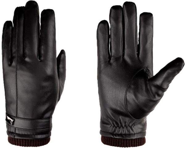Vyriškos žieminės pirštinės K49
