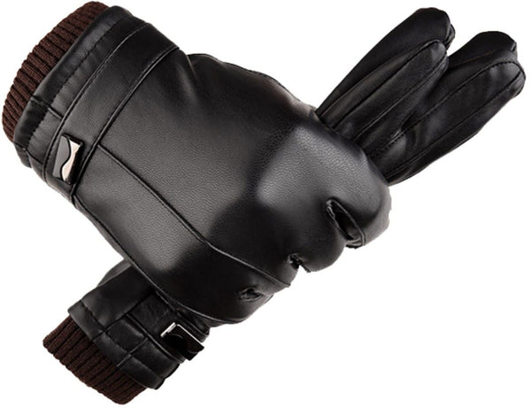 Vyriškos žieminės pirštinės K49