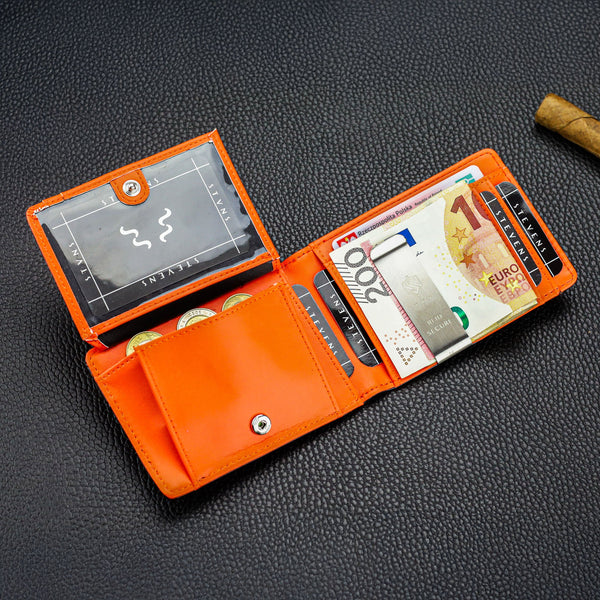 Vyriška plona piniginė, kortelių dėklas su RFID F02 S21