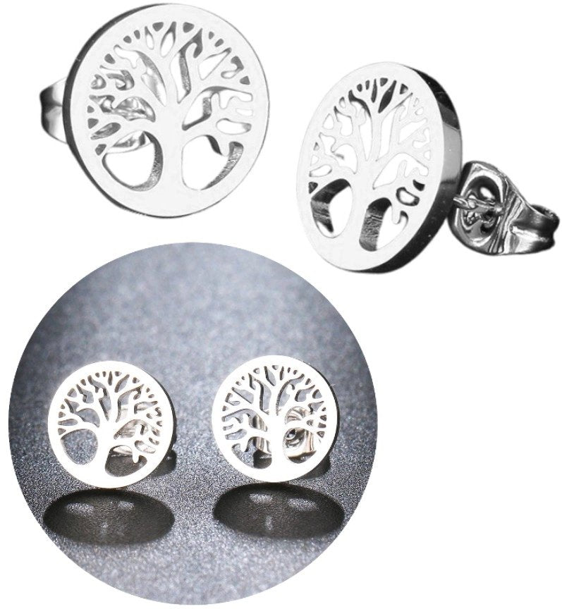 Auskarai moterims F57 N79