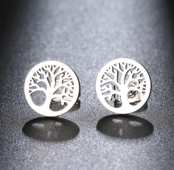 Auskarai moterims F57 N79