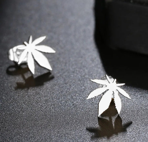 Auskarai moterims F58 N78