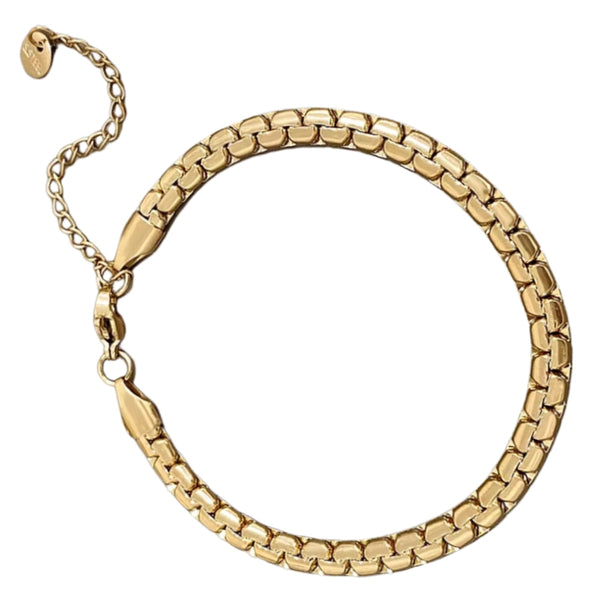 Auksuota apyrankė, chirurginis plienas 316L (17 cm + 5 cm)