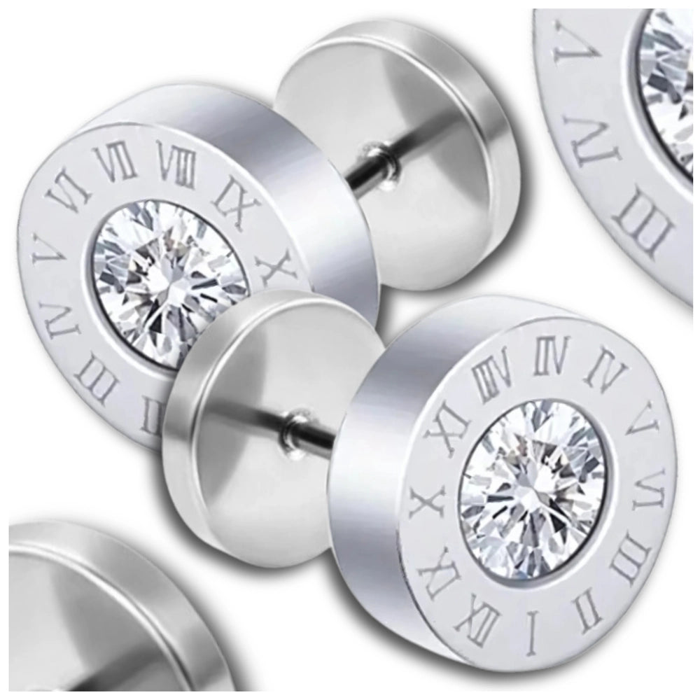 Sidabrinės spalvos auskarai su cirkoniais, chirurginis plienas (9 mm)