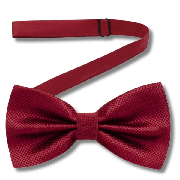 Vyriška bordo peteliškė, reguliuojama, elegantiška