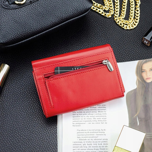 Moteriška piniginė Stevens S02 D1679