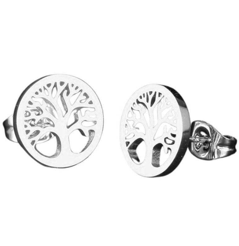 Auskarai moterims F57 N79