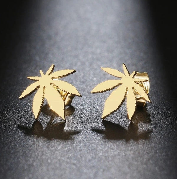 Auskarai moterims C58 N77