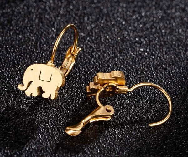 Auskarai moterims A11