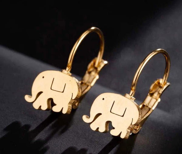 Auskarai moterims A11