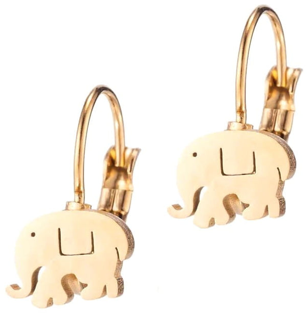 Auskarai moterims A11