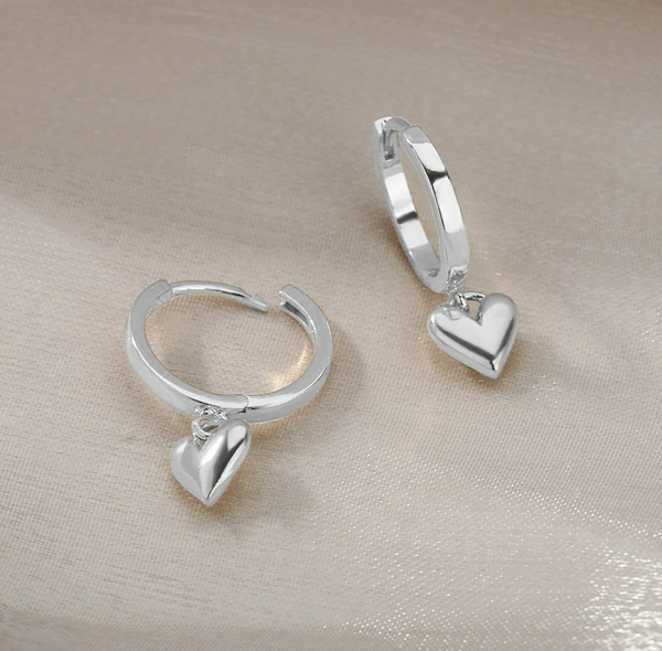 Auskarai moterims A55, sidabro spalvos