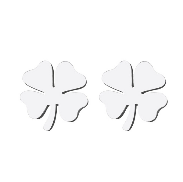 Auskarai moterims A59, sidabro spalvos