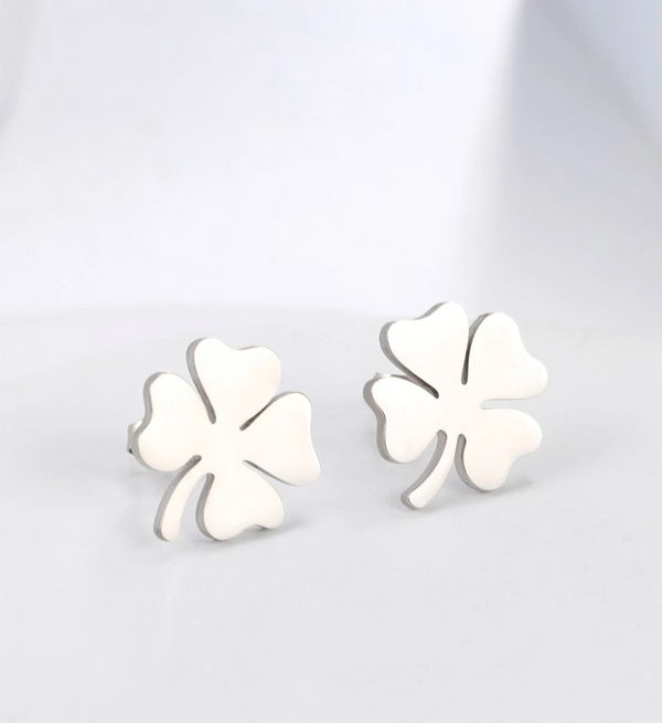 Auskarai moterims A59, sidabro spalvos