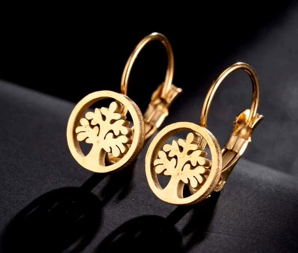 Auskarai moterims B11