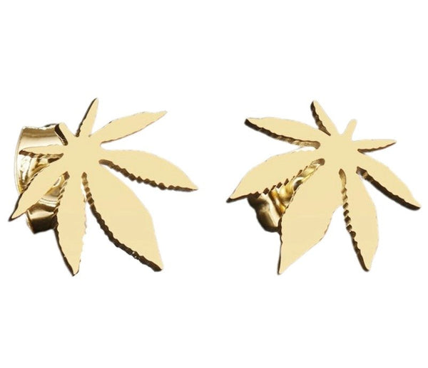 Auskarai moterims C58 N77