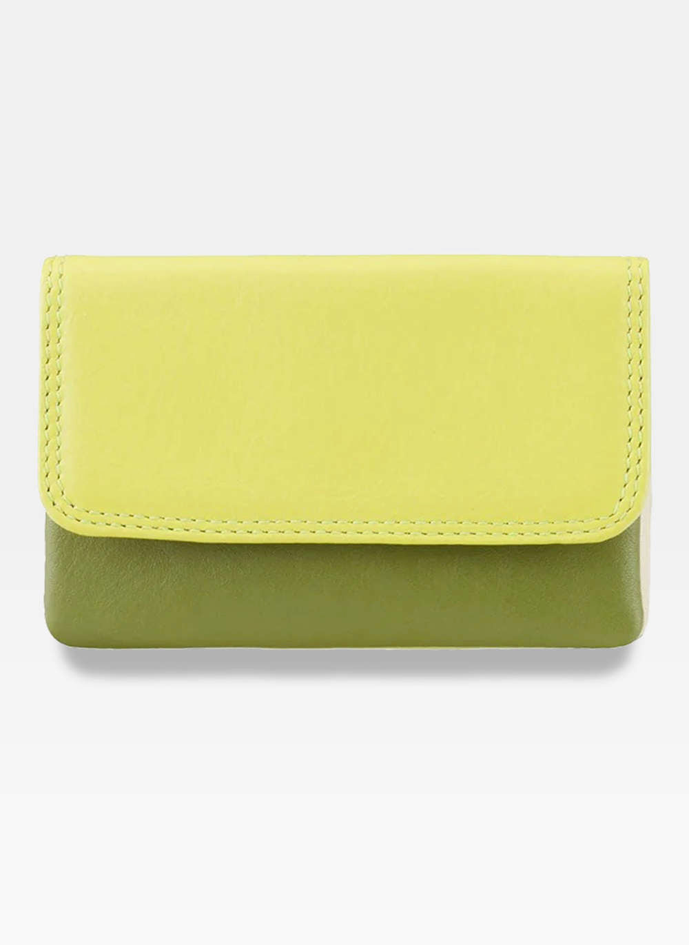 Moteriška piniginė Visconti DC99 D1668