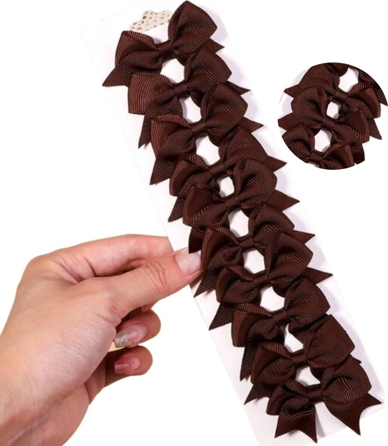 Plaukų segtukų rinkinys 10vnt. N34 rudi P83