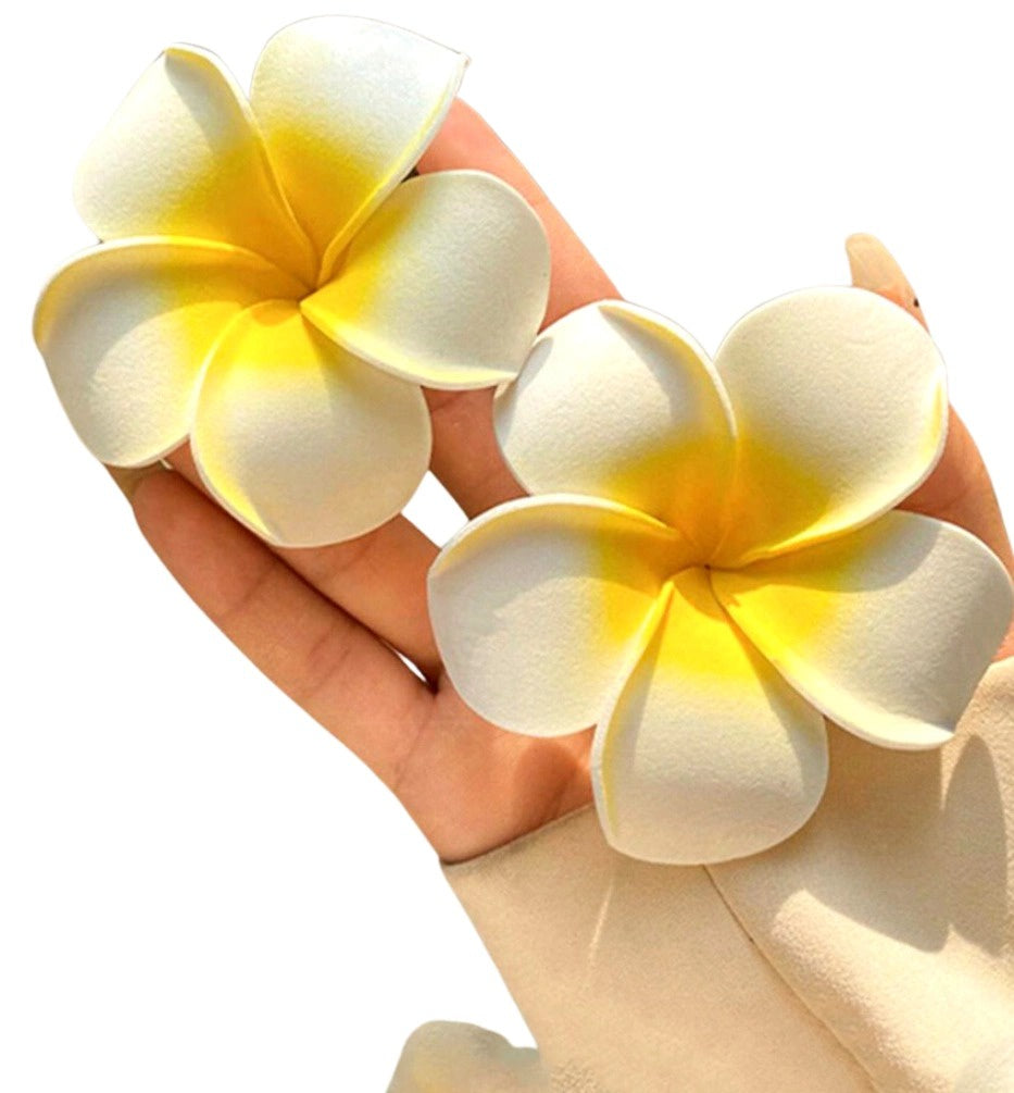 plaukų segtukų rinkinys, 2vnt P2