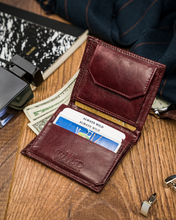 Piniginė vyrams Always Wild X17 N219