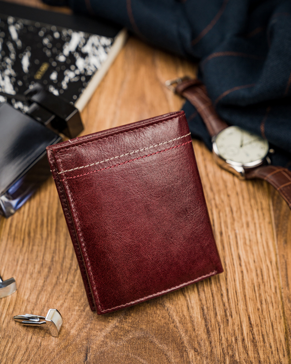 Piniginė vyrams Always Wild X17 N219