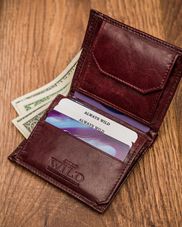 Piniginė vyrams Always Wild X17 N219