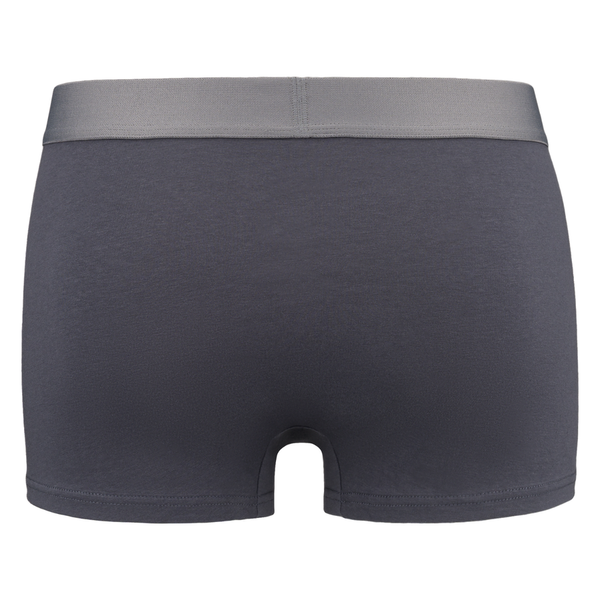 Vyriškos medvilninės bokserės „Peterson“, 3 porų rinkinys, juoda/pilka, XL D77