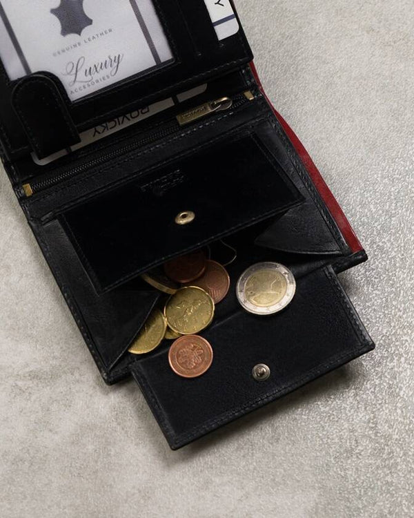 Vyriška odinė piniginė Rovicky RV104 N272